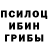 Псилоцибиновые грибы мицелий Deadpooll2020 Pro