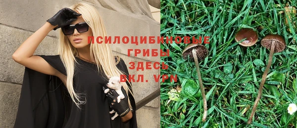 spice Алексеевка