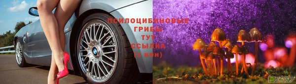 spice Алексеевка