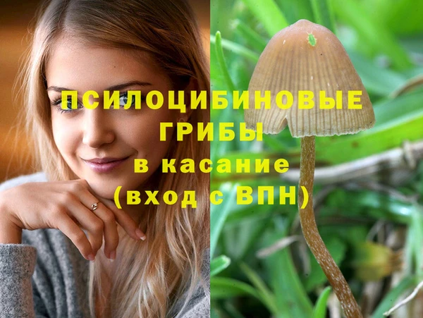 хмурый Алексин