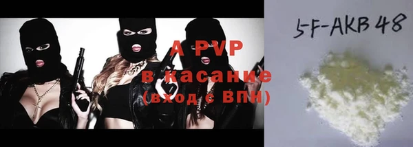 хмурый Алексин
