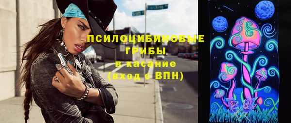 стафф Арсеньев