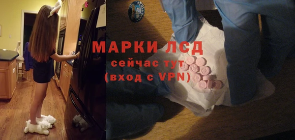 хмурый Алексин
